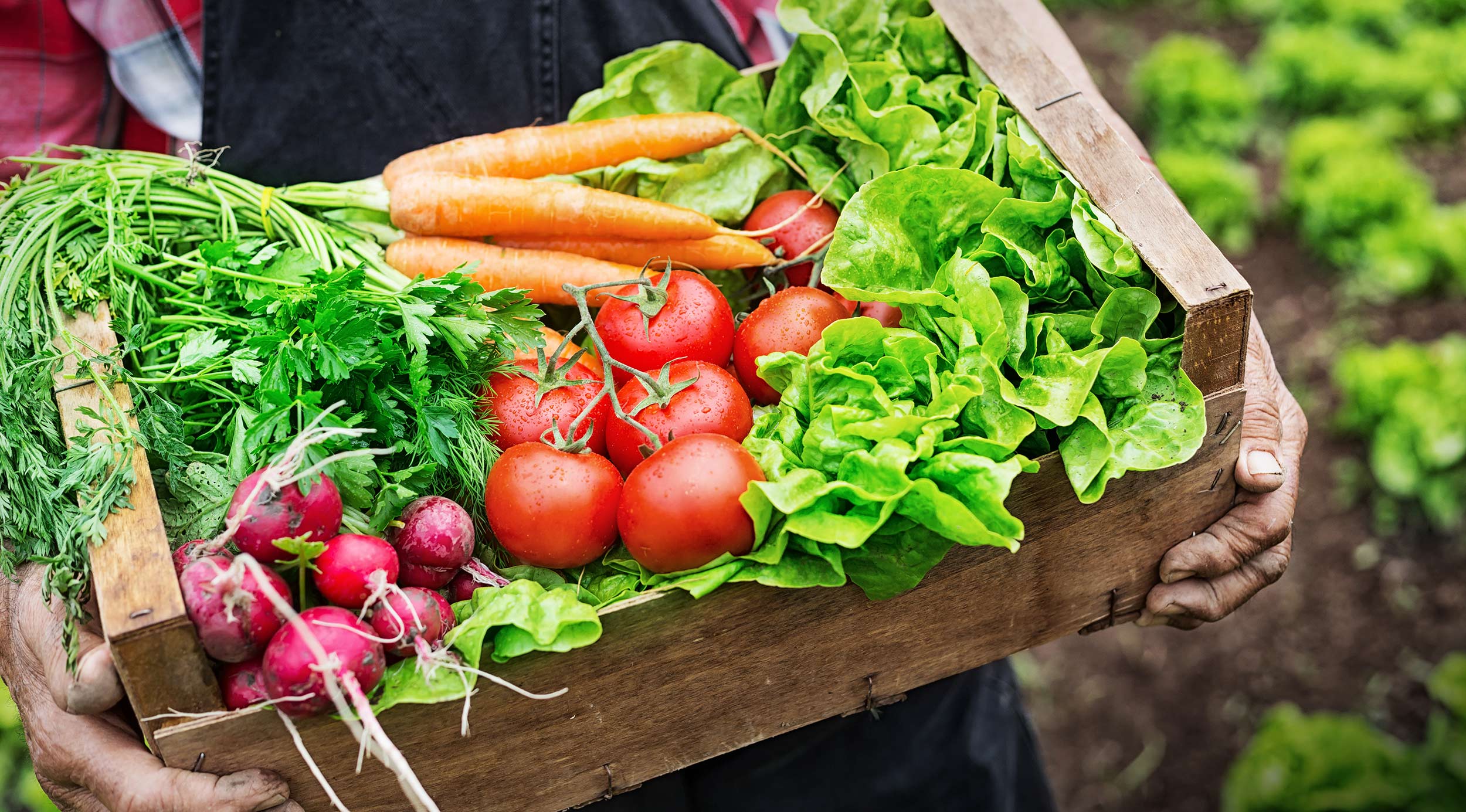 carrying vegetables