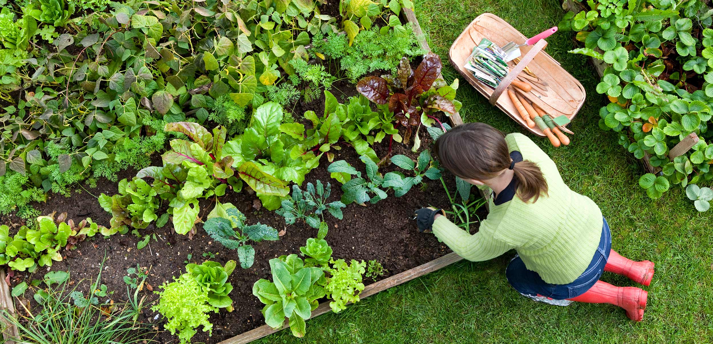 woman gardening